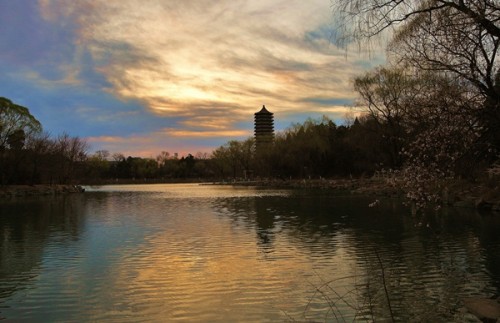 晨光里的塔与湖