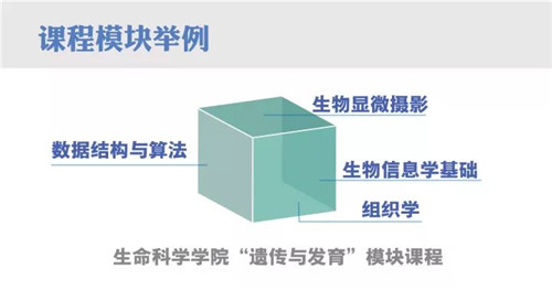 （注：部分课程可能略有调整，以实际发布的课表为准）