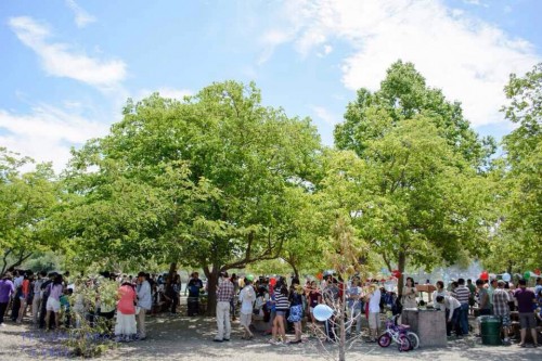 照片来源：北京大学北加州校友会