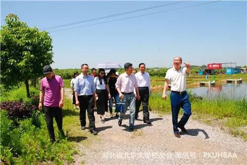 北大湖北校友会带领相关校友企业参观
