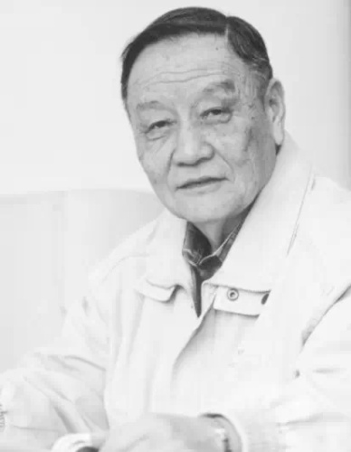 赵伊君