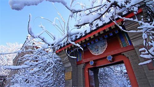 静园六院
