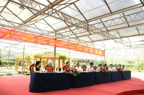 联谊会会场