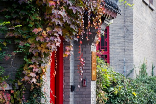 静园六院