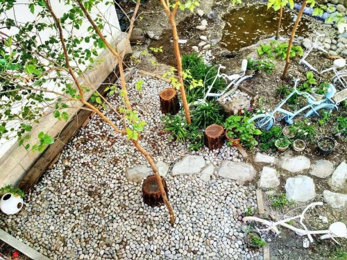 小花园改造中期