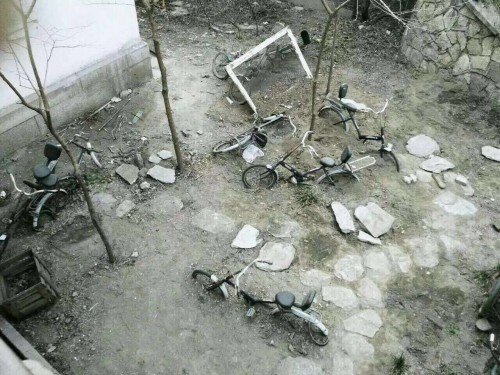 小花园改造前期