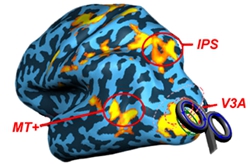 989096b27fe118b0ab0301