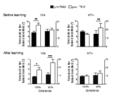 989096b27fe118b0ab0e02