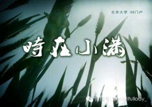 ce163a976d6645abaed14b1e06c390e4