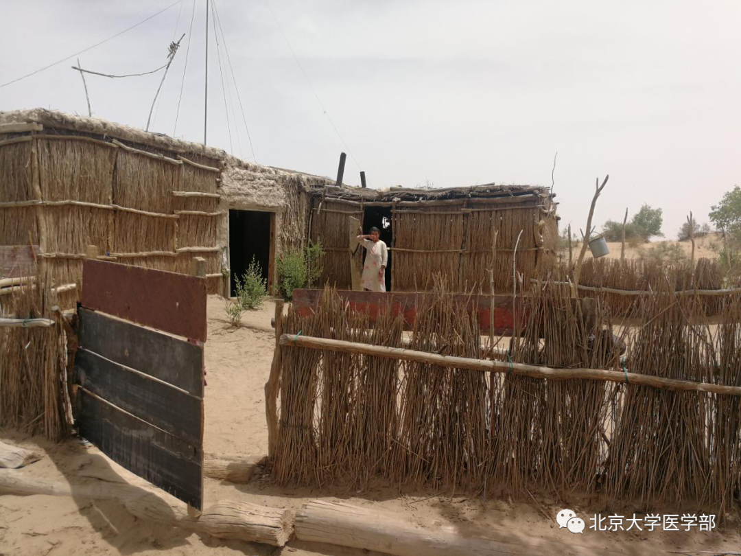 e85d873c5ef44ea99c55c2074a3a9776.jpg 20210304_133127_006.jpg