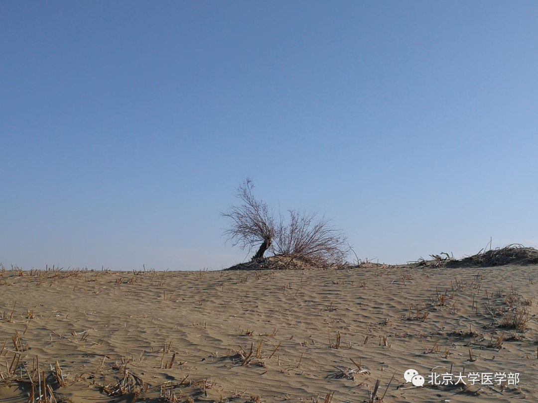 5ee37e9c9df84d9480b8536ac3306ab8.jpg 20210304_133127_004.jpg