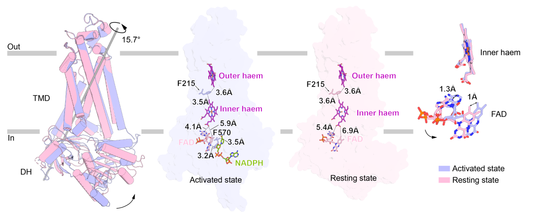 b2efdf7f735d489bad440e655c695253.png 3.png