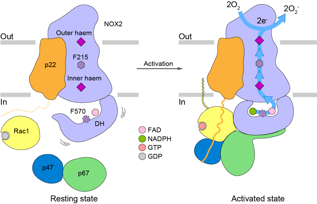 cb594cc32e794f9d81f75be245712e1f.png 4.png