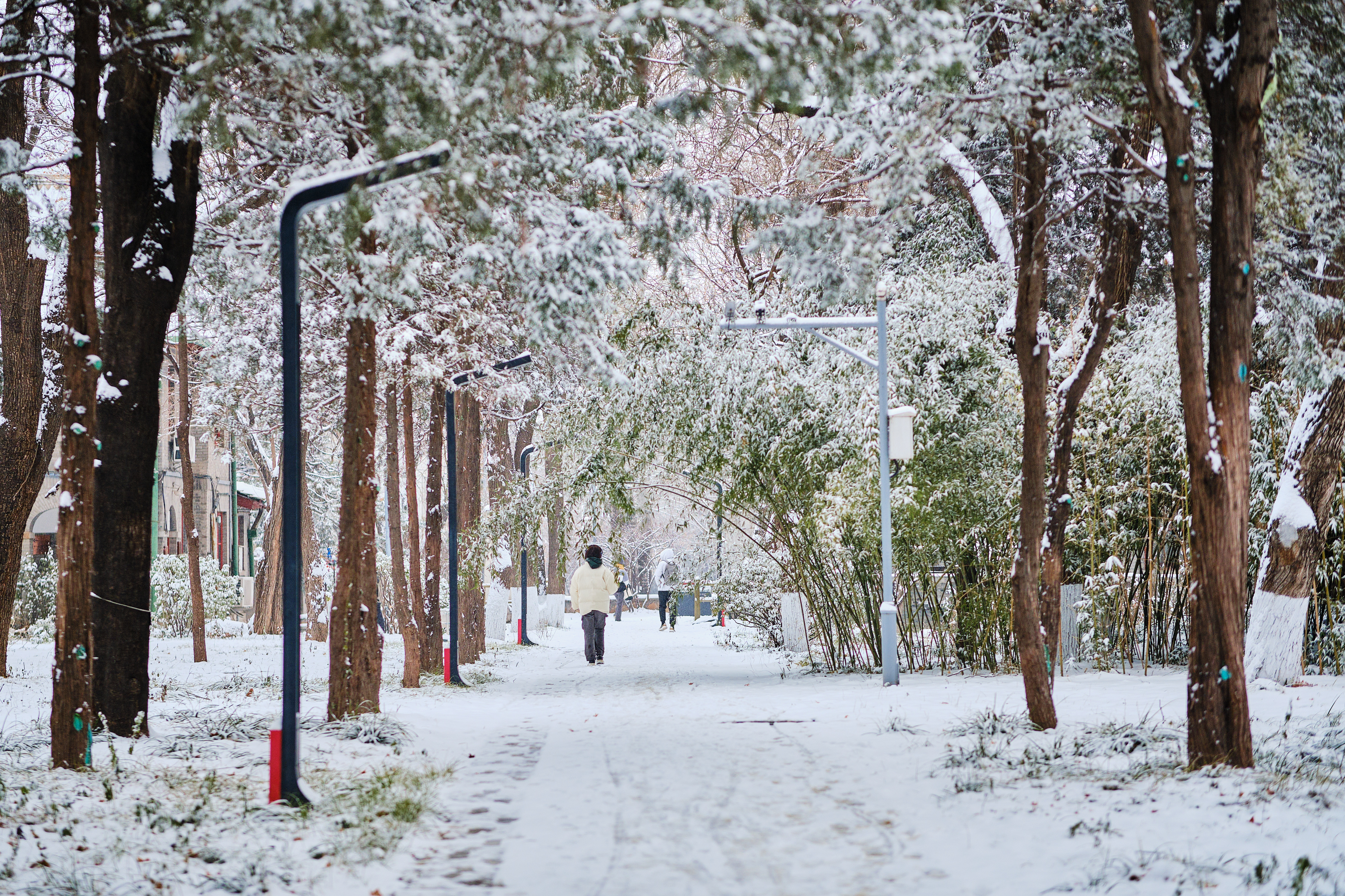 ae381f930e0a415bb688fa7abefa74f1.jpg ae381f930e0a415bb688fa7abefa74f1.jpg