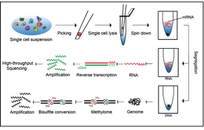 W020160301276441530138