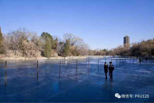 图2 未名湖冰场与穿行在围场外的同学