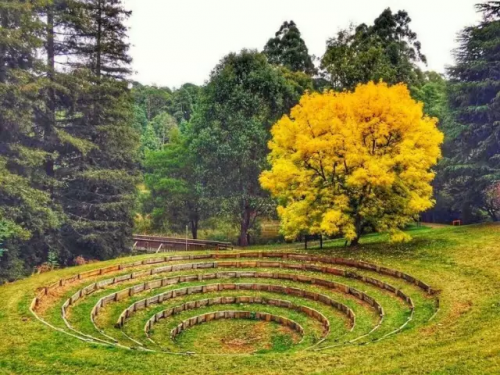 微信图片_20170420094511