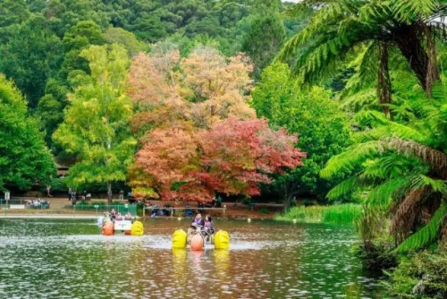 微信图片_20170420094445