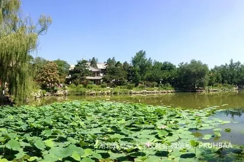 filehelper_1489022993019_76