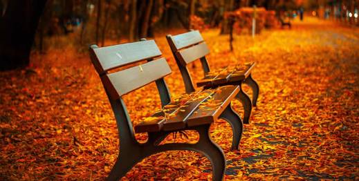 aHR0cHM6Ly9tbWJpei5xbG9nby5jbi9tbWJpel9wbmcvZmdua3hmR25ua1RIU2ljZW9yM2JtR2F5U1hpYmZkd1VUaWMyOTNSZXJYSnlHSkFtcGtmbTlIUGRYaWFMY0Y5SlBLSU9lanpRcXZxOHVMeFVxbEdwclBXM1hnLzA=