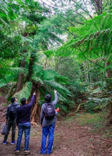 微信图片_20170420094450