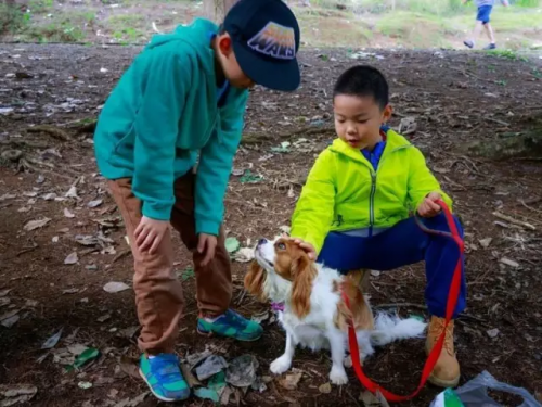 微信图片_20170420094509