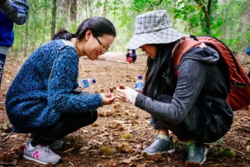 微信图片_20170420094455