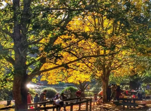 微信图片_20170420094424