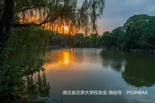 filehelper_1489022985526_83