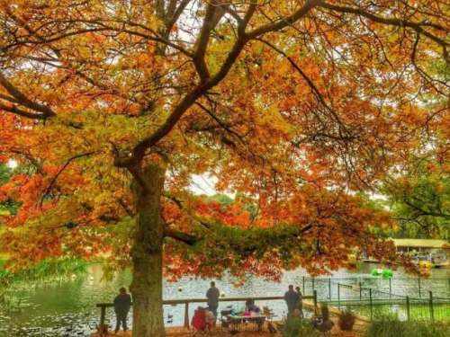 微信图片_20170420094426