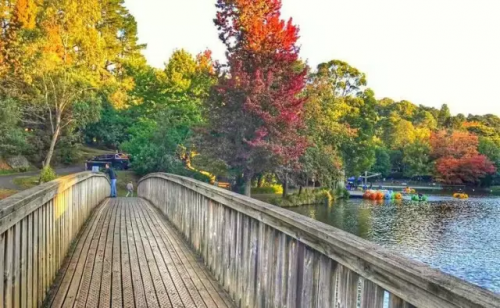 微信图片_20170420094513