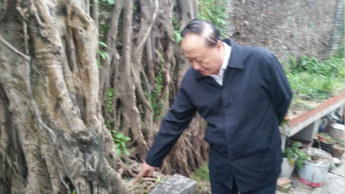 %e6%96%b0%e9%97%bb%e5%9b%be33