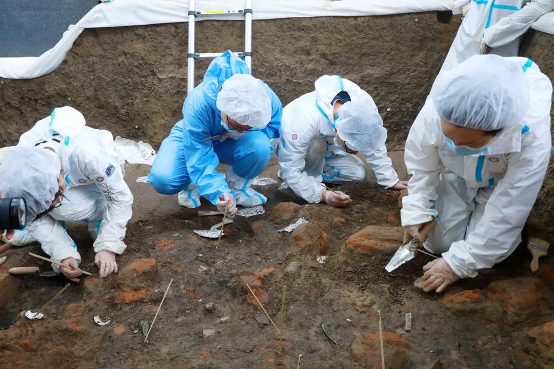 b369b5a7f90045e3bb669f747d362353.jpg b369b5a7f90045e3bb669f747d362353.jpg