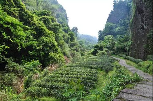 微信图片_20180121072325