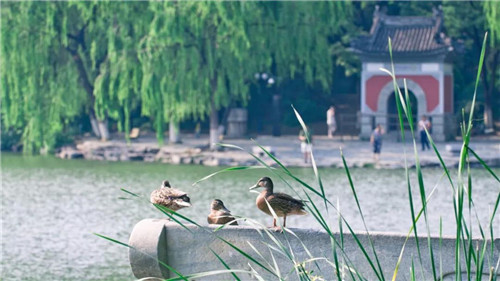 微信图片_20180119091516