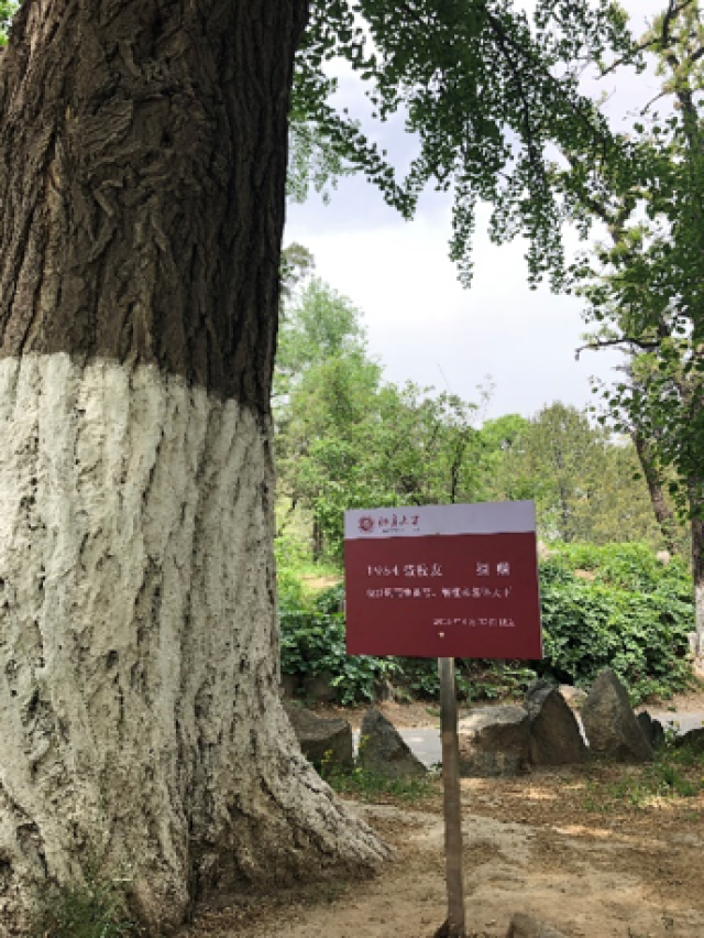 20180510152593412293109648.png 20180510152593412293109648.png