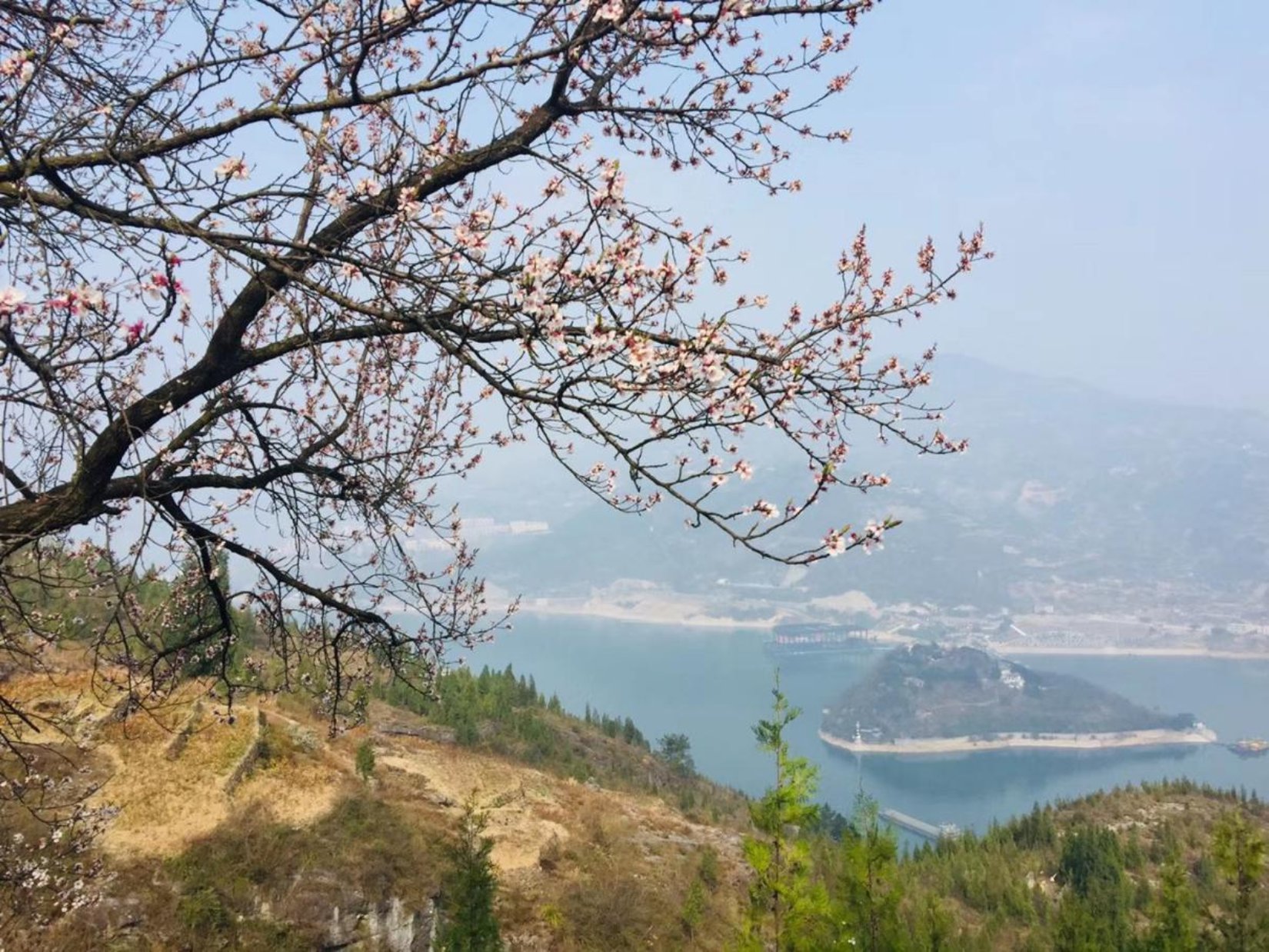 微信图片_20190313105655