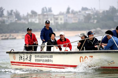 在广西钦州市三娘湾海域,潘文石(左四)乘船出海观察白海豚活动情况(3月19日摄)。陆波岸 摄
