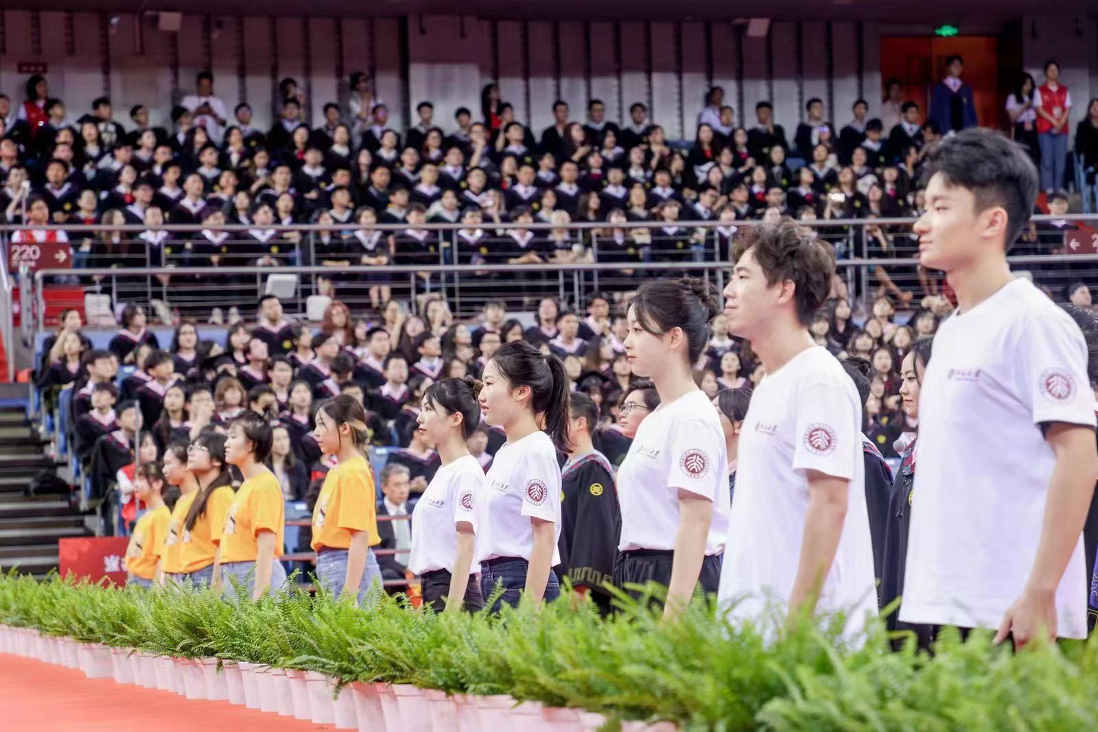 36f4ad93415a442ab45bb53ab71eb54c.jpg 36f4ad93415a442ab45bb53ab71eb54c.jpg